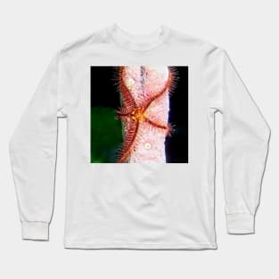 Brittle Sea Star Fish Long Sleeve T-Shirt